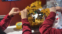吉善緣一路發(fā)財(cái)搖錢樹擺件梅花鹿招財(cái)貓喬遷開業(yè)辦公室店鋪裝飾工藝禮品 大號(hào)財(cái)源廣進(jìn)（招財(cái)貓款） 曬單實(shí)拍圖
