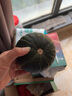 蔬農(nóng)聯(lián)貝貝南瓜 板栗味小南瓜 粉糯香甜 健康輕食 嚴(yán)選4.5斤 曬單實(shí)拍圖