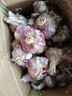 辰實【新干蒜】新鮮紫皮大蒜 云南獨頭蒜三瓣蒜 大蒜農(nóng)家蔬菜臘八蒜 9斤（多蒜瓣） 曬單實拍圖
