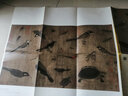 東方畫(huà)譜·宋代花鳥(niǎo)篇·寫(xiě)生珍禽圖  山鷓棘雀圖 曬單實(shí)拍圖