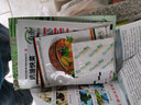壽禾 當季蔬菜種子大全秋冬季適合9-12月種植 快菜種子10g 曬單實(shí)拍圖