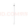 Apple Pencil (第一代) 含USB-C转换器 适用iPad mini5/iPad Air3/iPad 10.2英寸(第九/十代) 实拍图