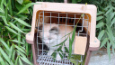 多可特（D-cat） 宠物航空箱猫太空舱猫包猫咪外出用品猫笼子狗托运箱外出便携式 1号-咖色（12斤以内）48*32*30 实拍图