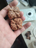 頂妃（DING FEI）南疆石,官帽,虎頭滿天星四座樓獅子頭,各種小眾文玩核桃 南疆石38-41mm精品一對(duì)A24-102 曬單實(shí)拍圖