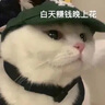 萬斯【滔搏運動】男鞋女鞋低幫帆布鞋Old Skool時尚側(cè)邊條紋延續(xù)款 VN000D3HNVY 41 曬單實拍圖