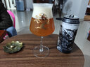 安克雷奇ANCHORAGE BREWING啤酒 美國進(jìn)口IPA精釀啤酒 混搭口味 473mL 4罐 組合裝 曬單實(shí)拍圖