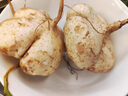 物鮮仙子貴州農(nóng)村特產(chǎn)大果生吃水果貴州地蘿卜涼薯土瓜地瓜白地瓜兒時(shí)味道 3斤 精選中大果 曬單實(shí)拍圖