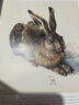 經(jīng)典全集【精裝】百態(tài)動(dòng)物插畫(huà)集 50位西方大師插畫(huà)作品集 鳥(niǎo)獸魚(yú)馬犬貓類(lèi)動(dòng)物插版畫(huà)博物畫(huà)圖譜原作正版臨摹教材 曬單實(shí)拍圖
