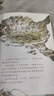 楊紅櫻畫(huà)本·科學(xué)童話(huà)系列全六冊貓頭鷹開(kāi)宴會(huì )小學(xué)生三四五六年級課外經(jīng)典書(shū)目?jì)和膶W(xué)讀物 楊紅櫻畫(huà)本·科學(xué)童話(huà)系列全六冊 曬單實(shí)拍圖