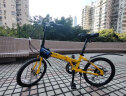 欧亚马 OYAMA折叠自行车20寸12速铝合金折叠车架男女款天际-M500D 黄色 实拍图