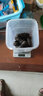 曉琴水產(chǎn)（Xiaoqin Aquatic Product） 九年深海高品質(zhì)淡干生海參50g干貨 曬單實(shí)拍圖