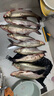 BKKBKK4S大包裝2X金海夕掛玉米魚(yú)鉤草魚(yú)大物魚(yú)鉤野釣有倒刺鉤 金海夕2X 有刺 14# 曬單實(shí)拍圖