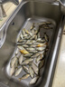 光威（GW）竹山新魚(yú)竿手桿碳素超輕超硬釣魚(yú)竿臺釣竿鯽魚(yú)鯉魚(yú)桿綜合竿魚(yú)桿 4.5m +送竿稍+垂釣禮包 曬單實(shí)拍圖