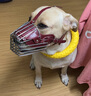 中型犬大型犬狗嘴套防咬防誤食狗口罩馬犬杜賓金毛羅威納鐵嘴籠 曬單實(shí)拍圖