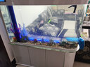 歐寶魚缸水族箱客廳大型家用生態(tài)玻璃水族箱金魚缸屏風(fēng)玄關(guān) 1.38米長(zhǎng)底濾 曬單實(shí)拍圖