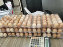 紅鐵普 塑料雞蛋托一次性雞蛋包裝盒透明柴雞蛋托喜蛋托10枚雞蛋盒 100個(gè)10枚中號雞蛋托 曬單實(shí)拍圖