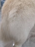 雪貂留香 寵物狗狗沐浴露洗澡液洗澡香波浴液留香用品 薩摩耶+護毛素 曬單實(shí)拍圖