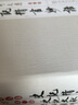 張大可文集（套裝共10冊） 曬單實拍圖