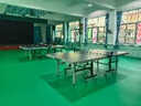 新綠里（SIGREENY）室內乒乓球地膠pvc運動(dòng)地板專(zhuān)業(yè)乒乓球臺球場(chǎng)館地墊 網(wǎng)格紋4.5mm 曬單實(shí)拍圖