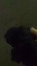 愛(ài)慕先生愛(ài)慕先生襪子男襪男士襪子薄款純棉舒適紳士商務(wù) 黑色 27 曬單實(shí)拍圖