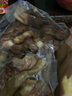 野蠻香醬鹵豬頭肉500g熟食臘味鹵味肉食下酒菜即食方便菜扒豬臉東北特產(chǎn) 豬頭肉500g 曬單實拍圖