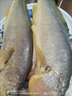 鱻謠呂四油帶魚(yú)5斤 單條3-4兩 整條 鮮帶魚(yú)海鮮魚(yú)類(lèi) 曬單實(shí)拍圖