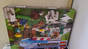 樂(lè)高（LEGO）我的世界Minecraft系列 樂(lè)高兒童拼裝積木玩具 男女孩 生日禮物 21184 面包店 曬單實(shí)拍圖