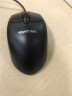 讯拓（Sunt）KX03有线键鼠套装办公娱乐键盘鼠标台式机笔记本通用家庭静音键盘USB接口防溅水 KX03+GP911 实拍图