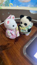 森貝兒家族晴空城堡幼兒園兒童玩具學(xué)校仿真過(guò)家家生日禮物房子 兒童節禮物 幼兒園伙伴 雨天裝備 曬單實(shí)拍圖