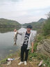 依心男 男士夏休閑褲子寬松百搭潮流透氣彈力夏季速干直筒休閑時尚九分 黑色 M 曬單實拍圖