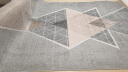 布迪思 地毯客厅地毯卧室茶几沙发毯可定制北欧简约现代满铺加厚防滑垫 新款4 200*300cm大客厅 实拍图