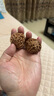 山中玉文玩核桃獅子頭手盤核頭古玩青果現(xiàn)貨手把件禮物賭青皮生日禮物男 蟠龍紋 40mm 曬單實(shí)拍圖