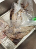 品鮮奕號 新鮮大魷魚 原條冷凍深海烏賊超大鐵板魷魚燒烤火鍋食材海鮮水產(chǎn) 新鮮大魷魚8條 7-8兩/條 曬單實拍圖