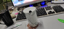 蓮澤 陶瓷咖啡杯子馬克杯情侶杯創(chuàng)意早餐杯子辦公水杯帶蓋帶勺子 灰石紋帶蓋勺 曬單實(shí)拍圖