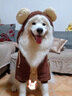 醫(yī)仕高骨骼寶鯊魚軟骨素狗狗腿瘸金毛泰迪犬健骨補鈣關節(jié)軟骨素狗 【動作不利索】260g 曬單實拍圖