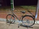 鳳凰無(wú)鏈條軸傳動(dòng)自行車(chē)通勤車(chē)公路山地不銹鋼車(chē)架禧瑪諾內三速單車(chē) 銀灰（丸石軸傳動(dòng)技術(shù)） 26寸（適合身高160-185） 禧瑪諾內三速 曬單實(shí)拍圖