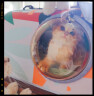 KimPets猫包外出宠物便携单肩书包太空舱背包狗狗猫咪猫笼子外带携带用品 【森林绿】茶色遮光透气太空包 （0-12斤左右宠物适用）40*26*26 实拍图