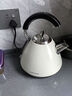 摩飛電器（Morphyrichards） 家用電熱水壺進(jìn)口304不銹鋼大容量燒水壺 MR7456A 1.5L 白色 曬單實(shí)拍圖