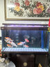 魚(yú)之眼魚(yú)缸氣泡條氧氣條氣石瀑布式氣泡石增氧頭氣簾增氧條自重沉底 120cm砂條和氣泵套餐 曬單實(shí)拍圖