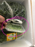 槿饈香芹苗1盒 芹菜苗 三葉香 可食用芽苗菜西餐擺盤(pán)裝飾 香芹苗1盒 曬單實(shí)拍圖
