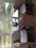紫叶阳台小桌椅 一桌两椅家用小户型茶几创意简约收纳组合藤椅三件套 经典款 红棕75x55，【配坐垫】 实拍图