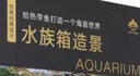 水族箱造景(給熱帶魚打造一個(gè)海底世界)(精)/世界經(jīng)典譯叢 曬單實(shí)拍圖