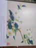 畢彰花鳥畫進階(白描工筆沒骨)/中國美術(shù)學院名師畫譜 曬單實拍圖