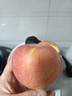 昭通蘋(píng)果正宗云南昭通丑蘋(píng)果冰糖心時(shí)令生鮮水果脆甜現摘5/9斤產(chǎn)地直發(fā) 凈重5斤中小果13-15枚（70-75mm)嘗鮮裝 曬單實(shí)拍圖