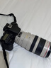 佳能/Canon EF70-200 F2.8 F4 IS二代小白兔大白二手長焦單反人像遠(yuǎn)攝全畫幅鏡頭 佳能100-400 f/4.5-5.6L IS一代 【準(zhǔn)新】 曬單實(shí)拍圖