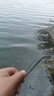 魚(yú)竿 釣魚(yú)竿套裝 溪流竿 釣魚(yú)桿 短節手竿套裝 短節便攜手桿魚(yú)桿溪流竿 37調臺釣竿 釣魚(yú)人手竿 6.3米送4.5米+釣魚(yú)禮包 曬單實(shí)拍圖