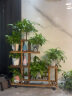 安尔雅 花架子花盆碳化室内外客厅阳台多肉植物多层组装花台现代简约置物架花摆架 实拍图