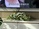 野派 餐桌花擺花長(cháng)桌裝飾花桌面假花仿真花擺設酒店西餐廳高端花藝擺件辦公室會(huì )議桌花裝飾桌面花藝軟裝擺設 C款餐桌花套裝 曬單實(shí)拍圖
