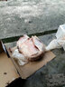 羊小柒 寧夏灘羊肉 生鮮分割半只羊排年貨禮盒羊腿羊蝎子燒烤火鍋食材 35斤全羊整只 曬單實(shí)拍圖
