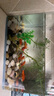 海諳客廳小型魚(yú)缸透明熱彎玻璃一體金魚(yú)缸帶氧氣燈光造景水族箱創(chuàng  )意 裸缸送贈品30*17*20 曬單實(shí)拍圖